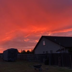 Meet your Posher, Bill